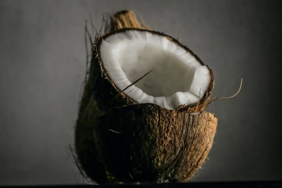 olej kokosowy na twarz kokos