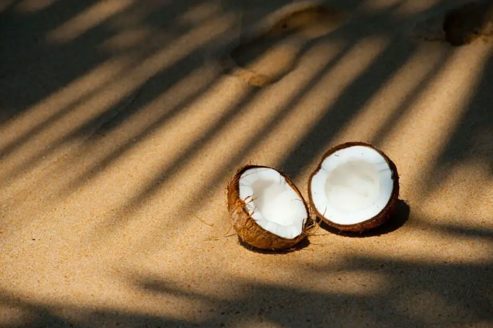 olej kokosowy na twarz połówki