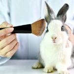 kosmetyki testowane na zwierzętach
