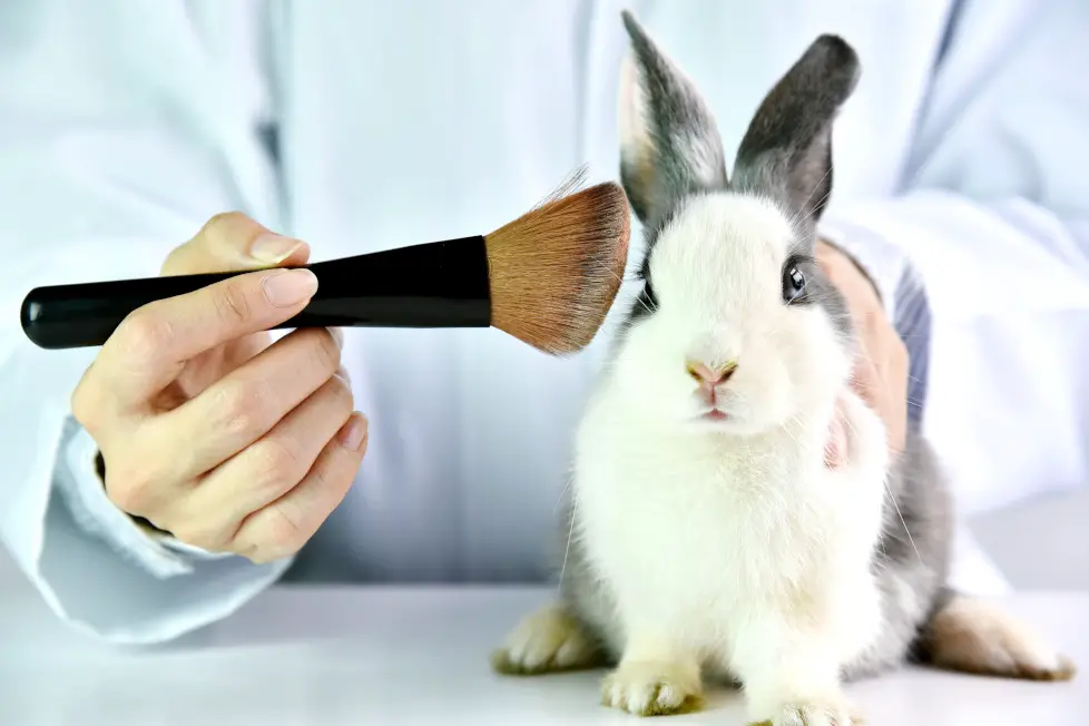 kosmetyki testowane na zwierzętach