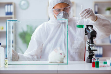 Meksyk zakazuje testowania kosmetyków na zwierzętach