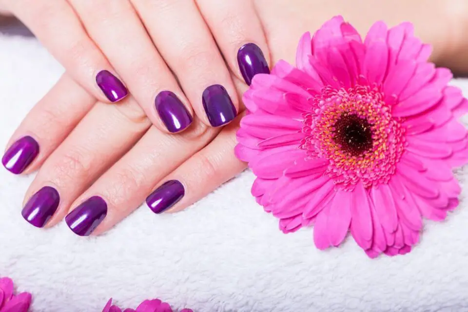 fioletowe paznokcie ręka i kwiat