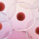 leczenie komórkami macierzystymi
