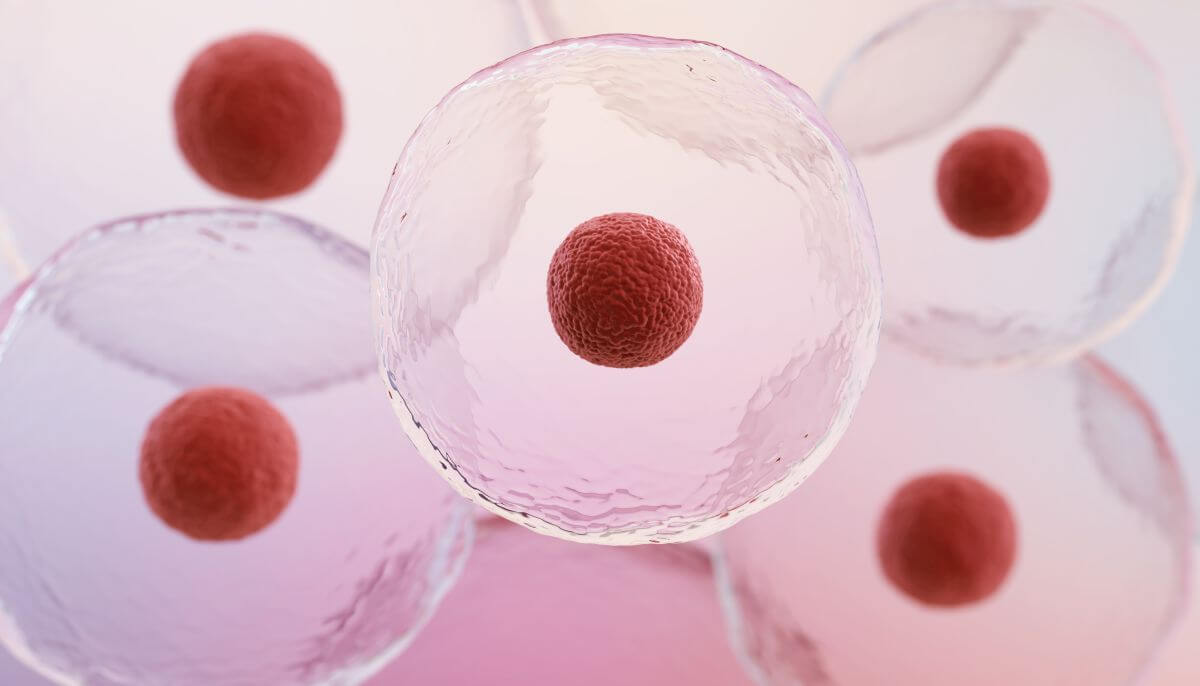 leczenie komórkami macierzystymi