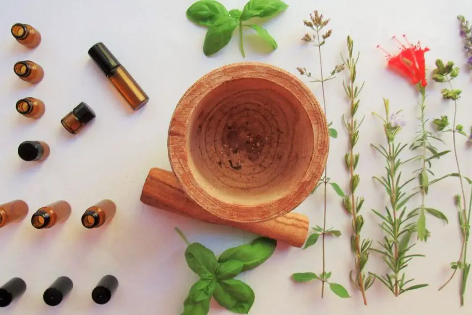 olejek z drzewa herbacianego na paznokcie stół zastawiony ziołami buteleczkami i moździerzem