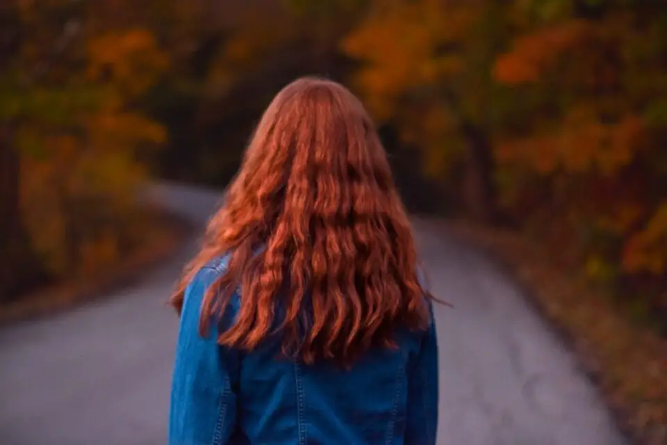 rude włosy las